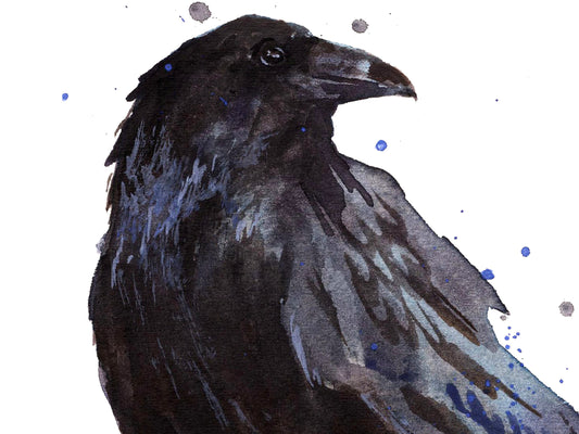Raucous Raven - giclee watercolour raven print - UK made