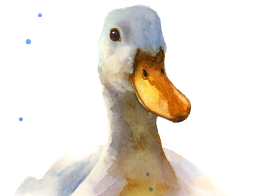 White Waddler - giclee watercolour duck print - UK made