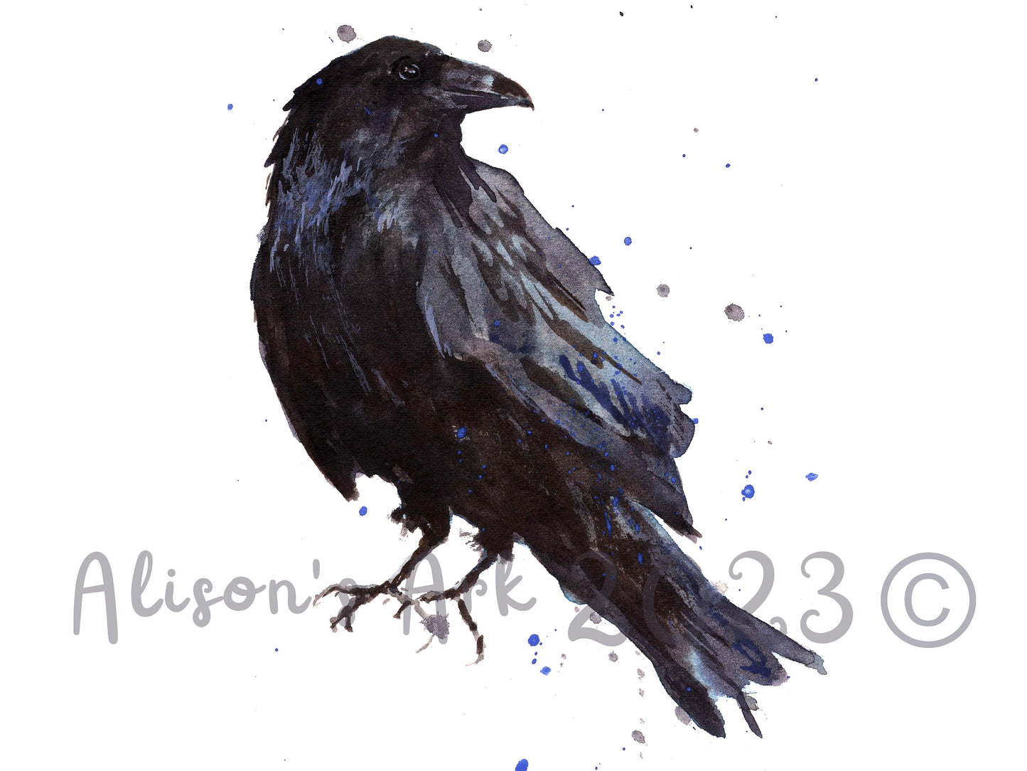 Raucous Raven - giclee watercolour raven print - UK made