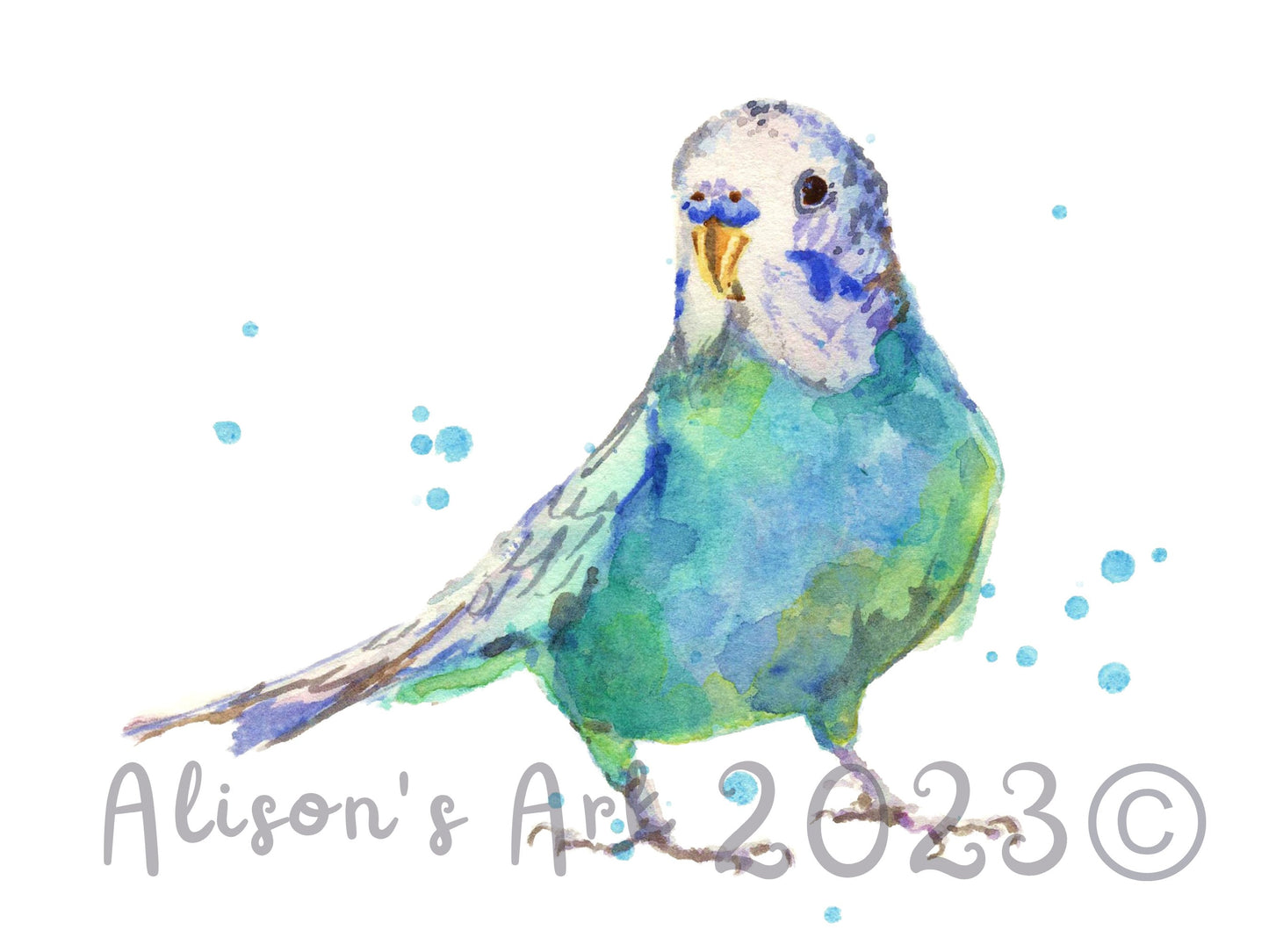 Bertie Blue - giclee watercolour budgie print - UK made - many sizes