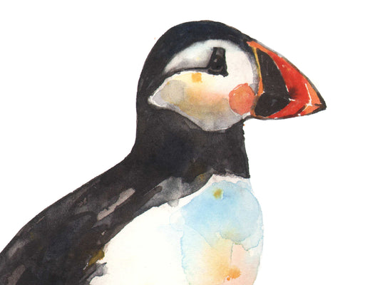 Puffin Prim - giclee watercolour puffin print - UK made - many sizes