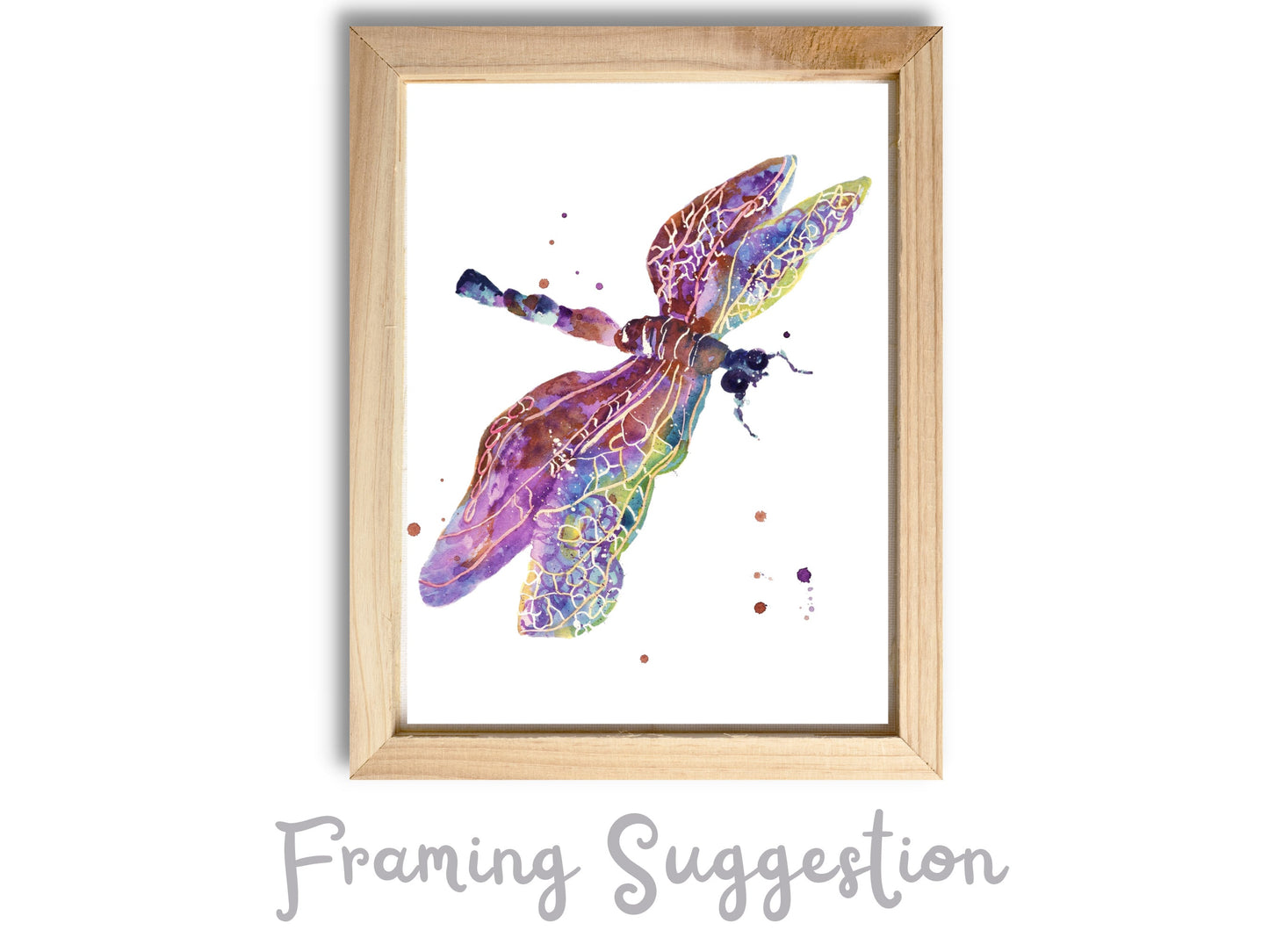 Dragonfly Drama - giclee watercolour dragonfly print - UK made - many sizes