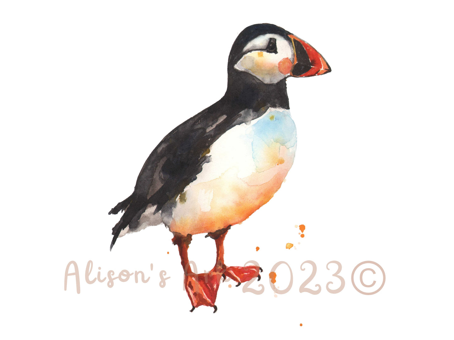 Puffin Prim - giclee watercolour puffin print - UK made - many sizes