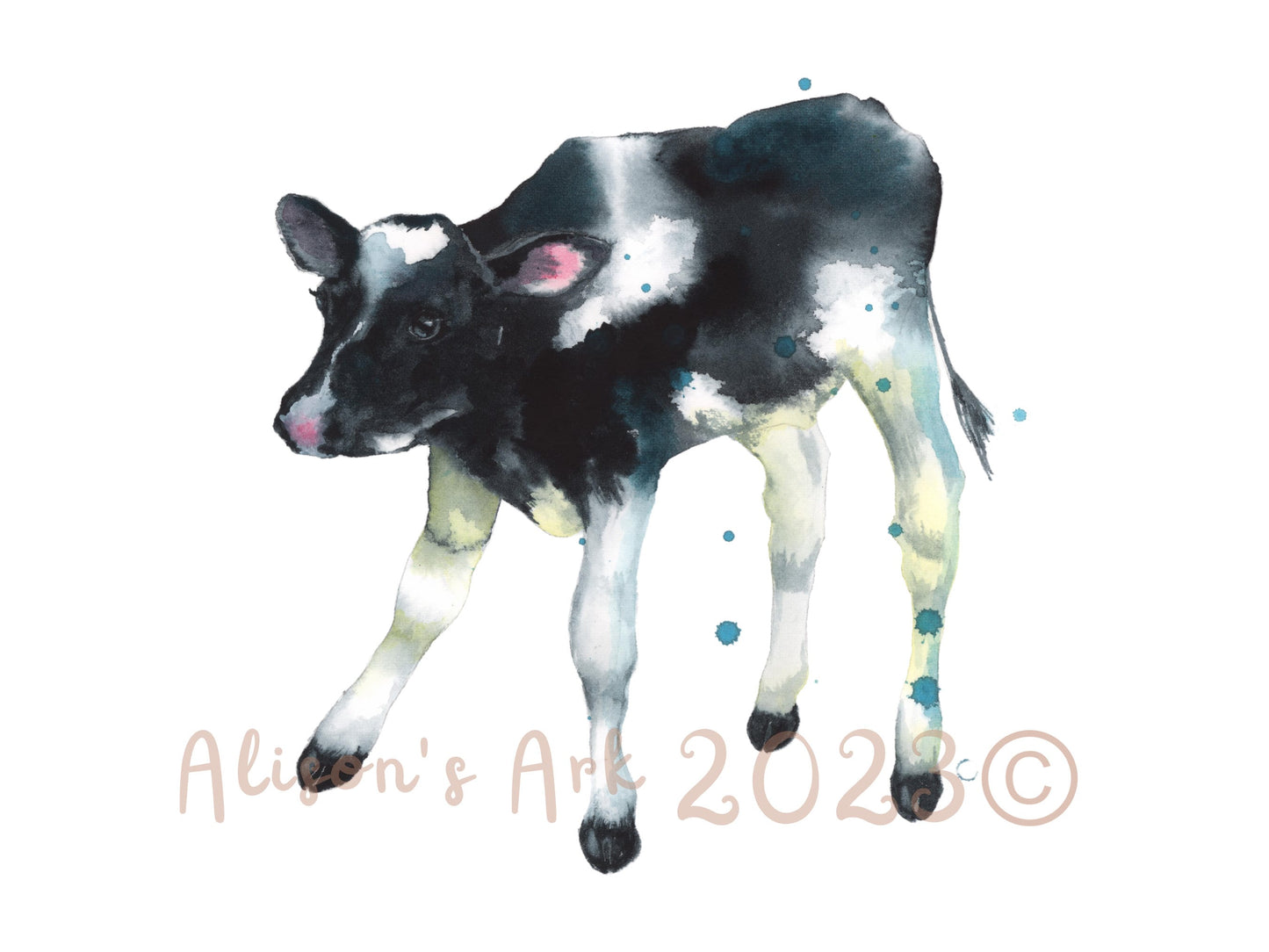 Curious Calf - giclee watercolour calf print - UK made