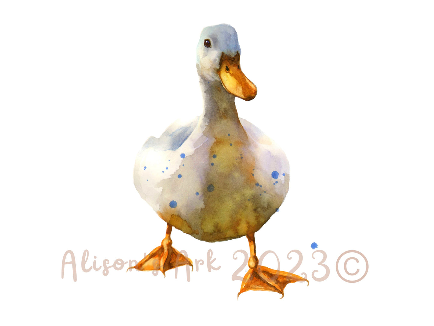 White Waddler - giclee watercolour duck print - UK made